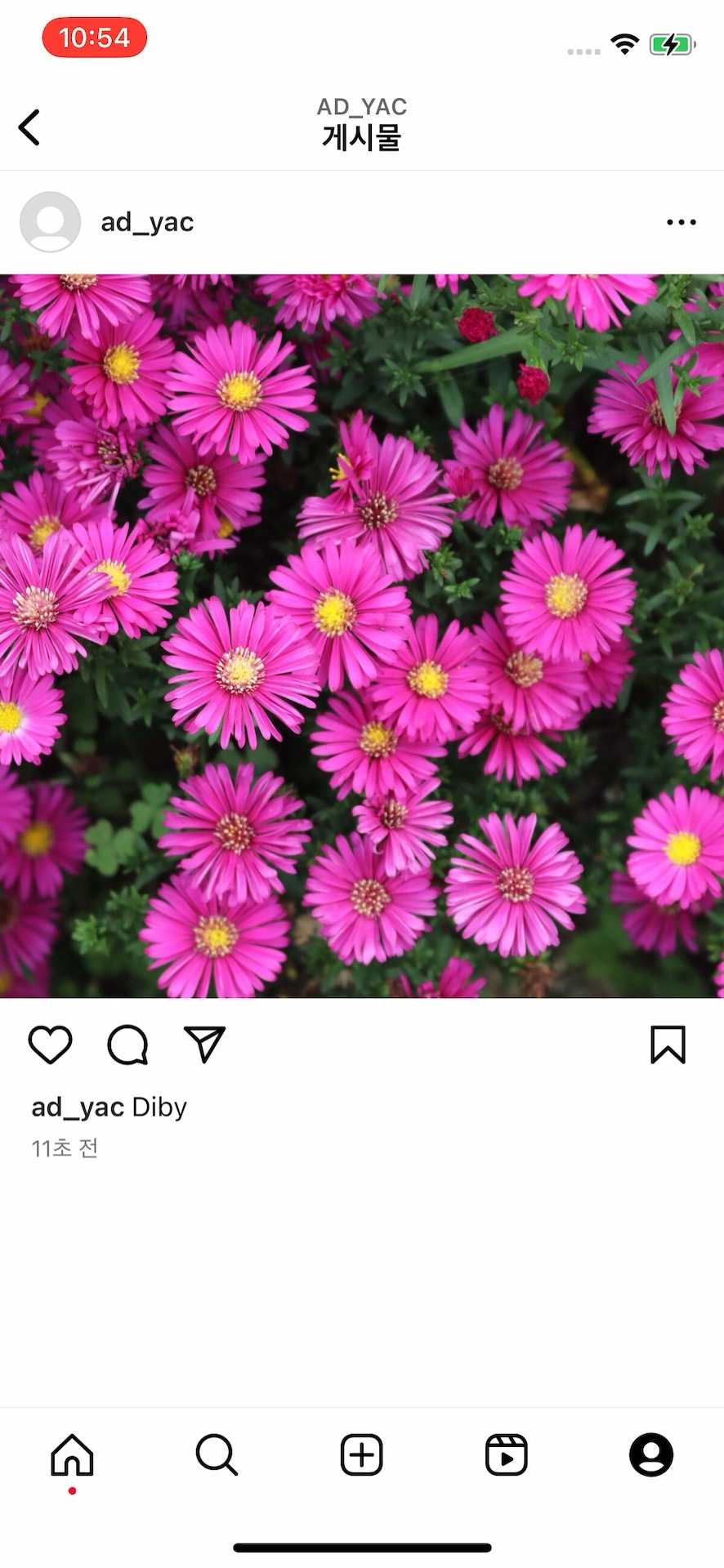 수정된 게시글