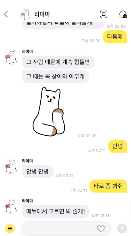 타로 종류 선택